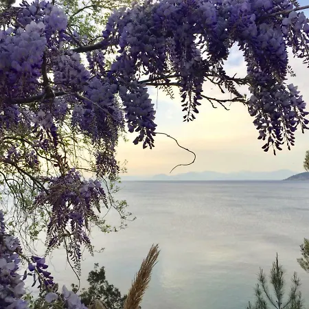 Enza Vacanze アパート サンタ・マリア・ディ・カステッラバーテ