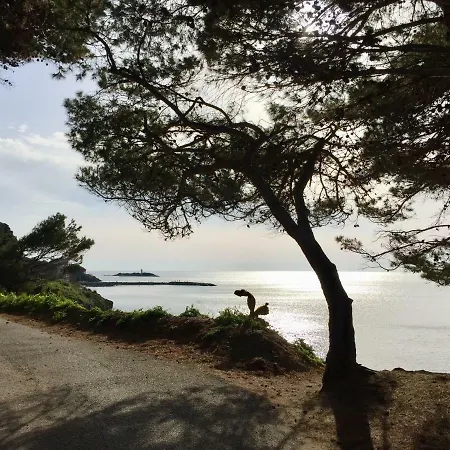Enza Vacanze *